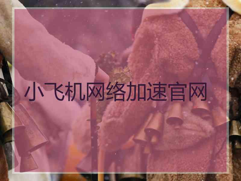 小飞机网络加速官网